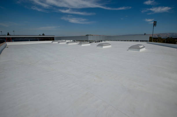 Best Roof Moss and Algae Removal  in Ashland, MO