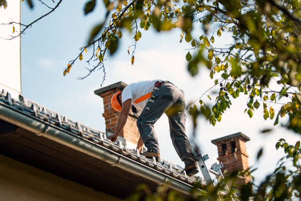 Best Roof Insulation Installation  in Ashland, MO